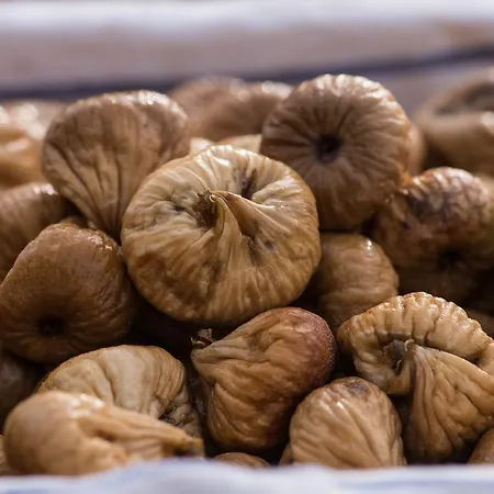 Pensao Agricola Kır Evi Tavira