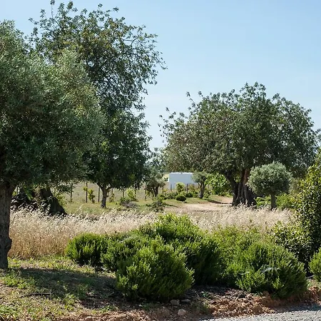 Pensao Agricola Lantställe