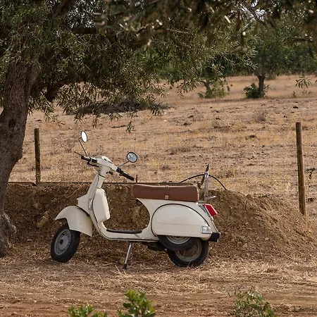 Pensao Agricola * Cabanas De Tavira