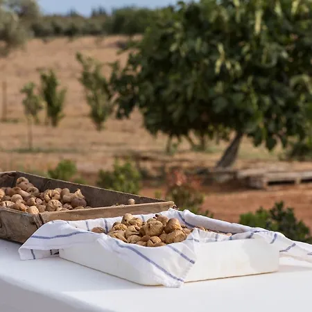 Séjour à la campagne Pensao Agricola Cabanas De Tavira