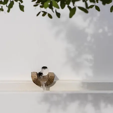 Casa de Campo Pensão Agrícola