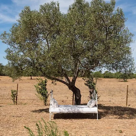 Séjour à la campagne Pensao Agricola Cabanas De Tavira