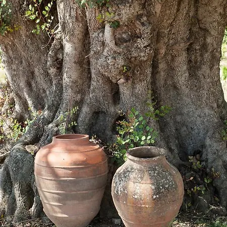 Pensao Agricola Cabanas De Tavira