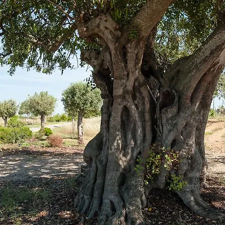 Casa de Campo Pensão Agrícola *