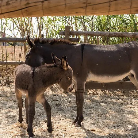 Pensão Agrícola Cabanas De Tavira